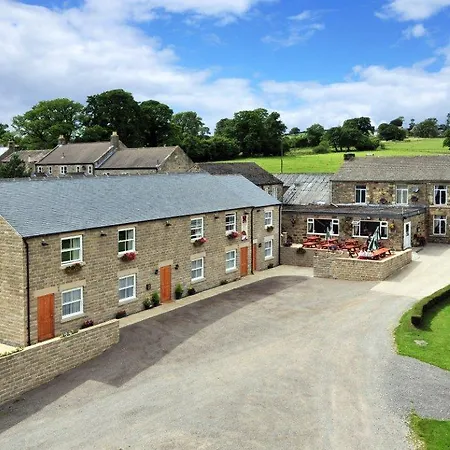 Black Swan אורחן מסהאם