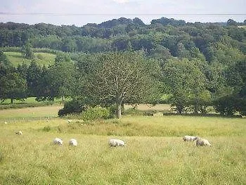 Inn Black Swan Masham