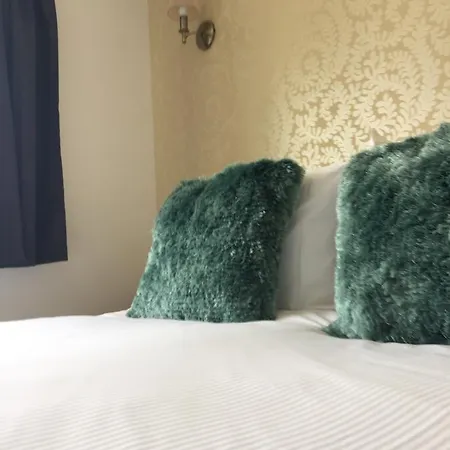 黑天鹅旅舍