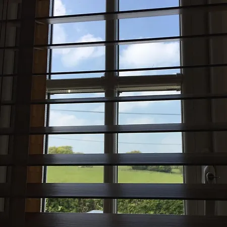黑天鹅旅舍 宾馆 马沙姆